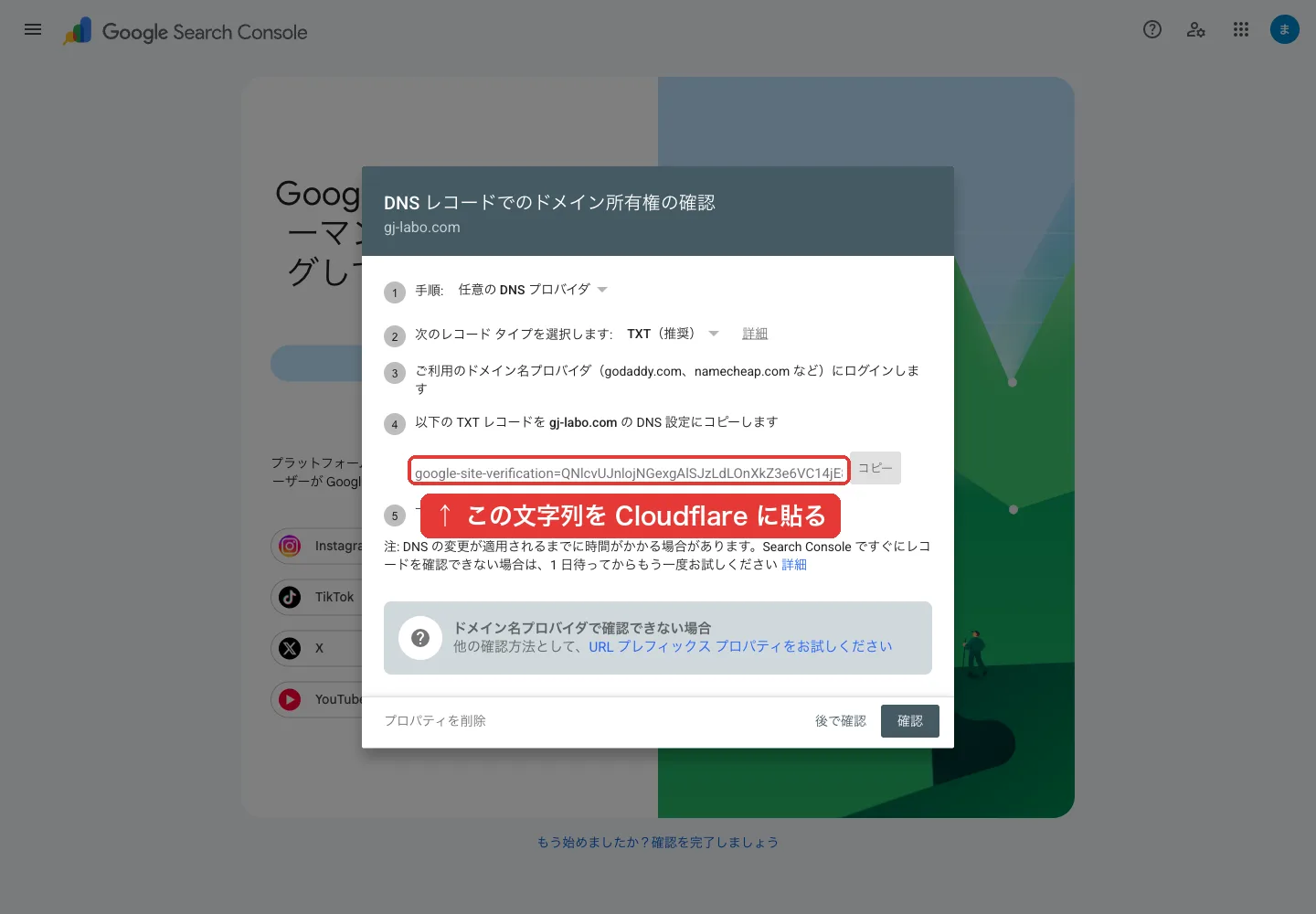 任意のDNSプロバイダを選んだ画面。google-site-verification=で始まるTXTレコードが表示されている